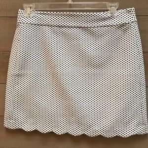 Ann Taylor LOFT Skirt s10
